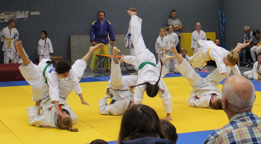 2017 02 01 Sommerfest Judoka Rauxel 005