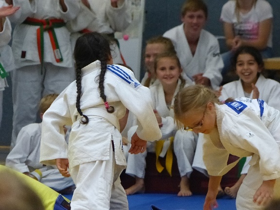 2017 07 01 Sommerfest Judoka Rauxel 011